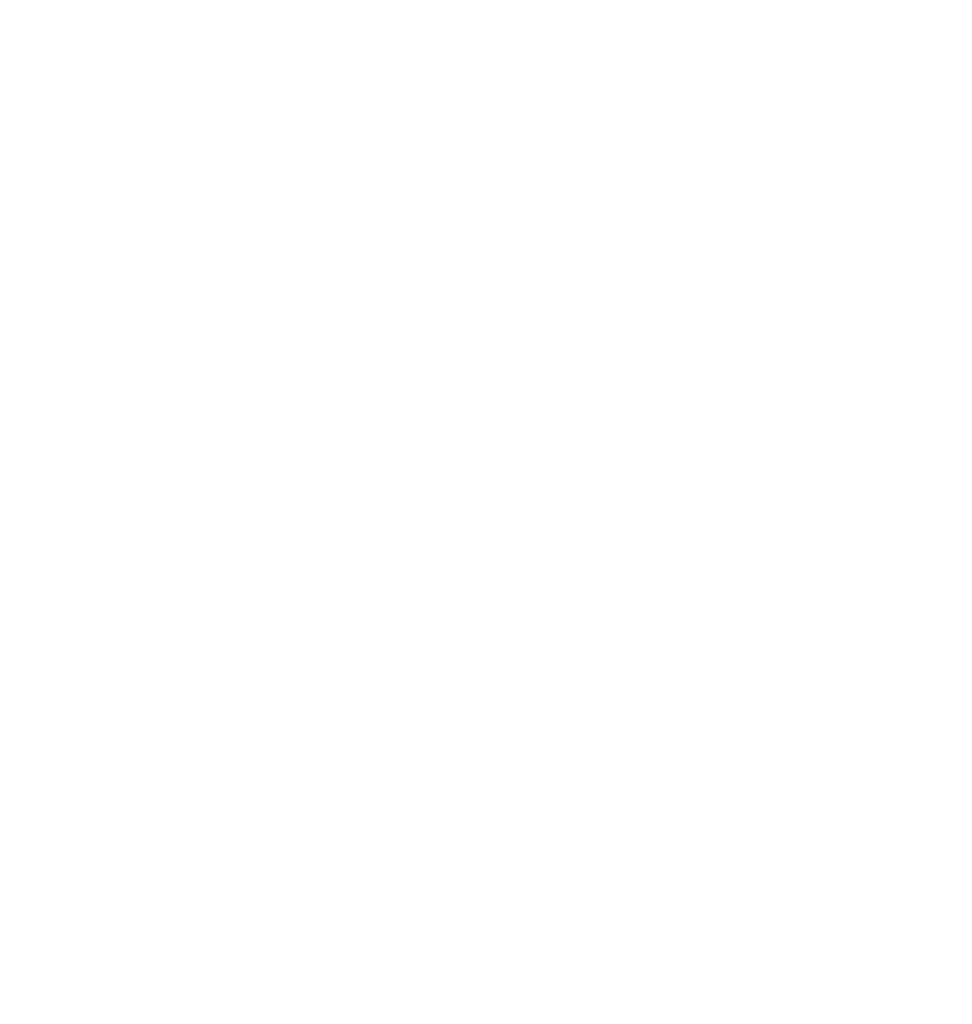 White wall in a palm tree shadow in a home renovation made by Vintage Builders, custom home builders in Perth specialising in bespoke residential high-quality home conservation, restoration and luxury renovation